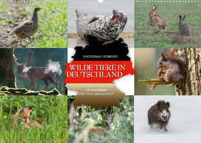 Emotionale Momente: Wilde Tiere in Deutschland (Wandkalender 2023 DIN A2 quer) von Gerlach GDT,  Ingo