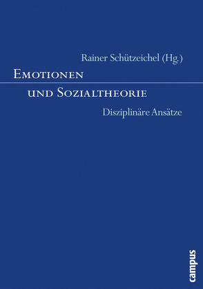 Emotionen und Sozialtheorie von Bolle,  Friedel, Döring,  Sabine A, Esser,  Hartmut, Flamm,  Helena, Kessel,  Martina, Mees,  Ulrich, Neckel,  Sighard, Pettenkofer,  Andreas, Rössel,  Jörg, Schnabel,  Annette, Schützeichel,  Rainer, Vester,  Heinz-Günter, Winkel,  Heidemarie