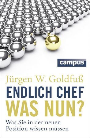 Endlich Chef – was nun? von Goldfuß,  Jürgen W.