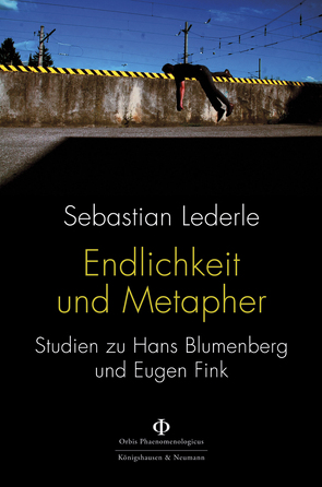 Endlichkeit und Metapher von Lederle,  Sebastian