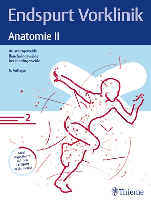 Endspurt Vorklinik: Anatomie II