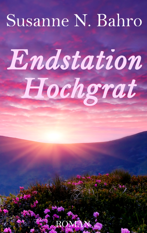 Endstation Hochgrat von Bahro,  Susanne N.