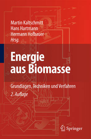 Energie aus Biomasse von Hartmann,  Hans, Hofbauer,  Hermann, Kaltschmitt,  Martin