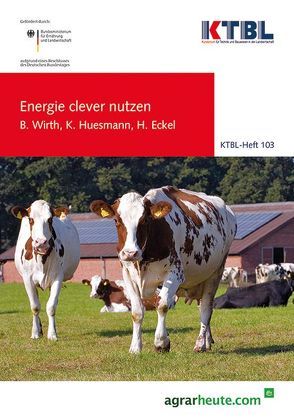 Energie clever nutzen von Eckel,  Henning, Huesmann,  Kathrin, Wirth,  Bernd