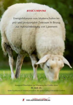 Energiebilanzen von Mutterschafen im prä- und postpartalen Zeitraum in Bezug zur Aufzuchtleistung von Lämmern von Reintke,  Jessica