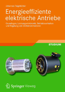 Energieeffiziente elektrische Antriebe von Teigelkötter,  Johannes