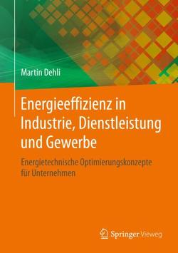 Energieeffizienz in Industrie, Dienstleistung und Gewerbe von Dehli,  Martin