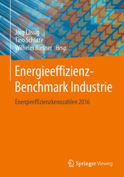 Energieeffizienz-Benchmark Industrie von Lässig,  Jörg, Riesner,  Wilhelm, Schütte,  Tino