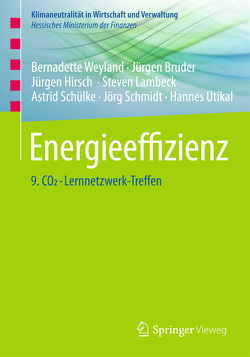 Energieeffizienz von Bruder,  Jürgen, Hirsch,  Jürgen, Lambeck,  Steven, Schmidt,  Jörg, Schülke,  Astrid, Utikal,  Hannes, Weyland,  Bernadette