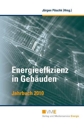 Energieeffizienz in Gebäuden von Barz,  Frank, Fack,  Alexander, Holthuizen,  Taco, Klinski,  Dr. Stefan, Knipper,  Michael, Mueller,  Wolfgang, Müller,  Hendrik, Pöschk,  Jürgen, Ramsauer,  Dr. Peter, Rehberg,  Siegfried, Wein,  Klaus