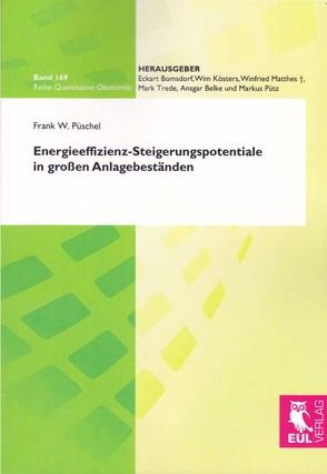 Energieeffizienz-Steigerungspotentiale in großen Anlagebeständen von Püschel,  Frank W.