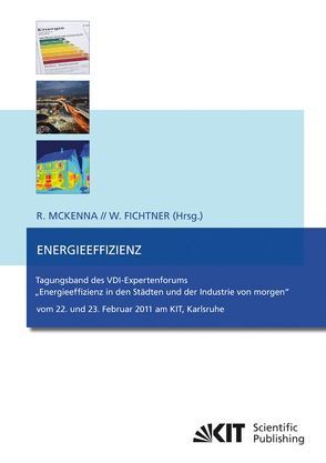Energieeffizienz : Tagungsband des VDI-Expertenforums „Energieeffizienz in den Städten und der Industrie von morgen“ ; vom 22. und 23. Februar 2011 am KIT, Karlsruhe von Fichtner,  Wolf, McKenna,  Russell