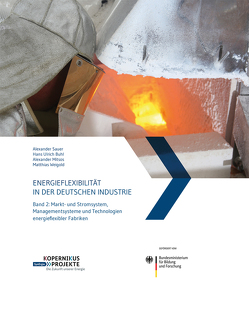 Energieflexibilität in der deutschen Industrie. von Buhl,  Hans Ulrich, Mitsos,  Alexander, Sauer,  Alexander, Weigold,  Matthias