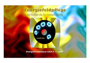 Energieflussanalyse – von Kräften die Du meistern kannst von Seidl,  Christian