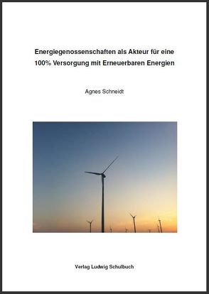 Energiegenossenschaften als Akteur für eine 100% Versorgung mit Erneuerbaren Energien von Schneidt,  Agnes