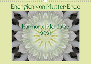 Energien von Mutter Erde (Wandkalender 2021 DIN A3 quer) von Wiermann,  JonaMo