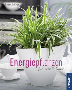 Energiepflanzen für mein Zuhause von Brottrager,  Irmgard