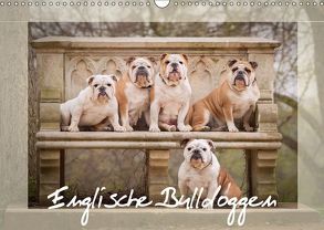 Englische Bulldoggen (Wandkalender 2019 DIN A3 quer) von Wobith Photography - FotoVonMaja,  Sabrina