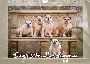 Englische Bulldoggen (Wandkalender 2022 DIN A4 quer) von Wobith Photography - FotoVonMaja,  Sabrina