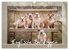 Englische Bulldoggen (Wandkalender 2024 DIN A3 quer), CALVENDO Monatskalender von Wobith Photography - FotoVonMaja,  Sabrina