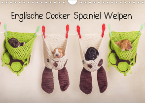 Englische Cocker Spaniel Welpen (Wandkalender 2021 DIN A4 quer) von Wobith Photography - FotosVonMaja,  Sabrina