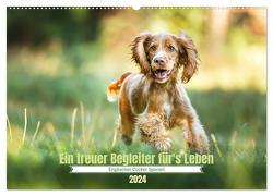 Englischer Cocker Spaniel (Wandkalender 2024 DIN A2 quer), CALVENDO Monatskalender von Wobith Photography,  Sabrina