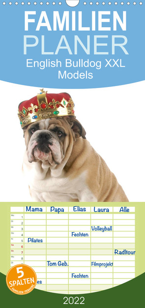 Familienplaner English Bulldog XXL Models (Wandkalender 2022 , 21 cm x 45 cm, hoch) von Stanzer,  Elisabeth