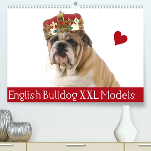 English Bulldog XXL Models (Premium, hochwertiger DIN A2 Wandkalender 2023, Kunstdruck in Hochglanz) von Stanzer,  Elisabeth