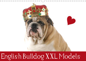 English Bulldog XXL Models (Wandkalender 2023 DIN A3 quer) von Stanzer,  Elisabeth