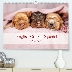 English Cocker Spaniel Welpen (Premium, hochwertiger DIN A2 Wandkalender 2022, Kunstdruck in Hochglanz) von Wobith Photography - FotosVonMaja,  Sabrina