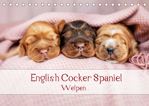 English Cocker Spaniel Welpen (Tischkalender 2022 DIN A5 quer) von Wobith Photography - FotosVonMaja,  Sabrina