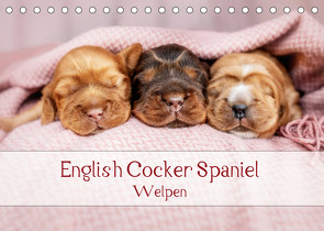 English Cocker Spaniel Welpen (Tischkalender 2023 DIN A5 quer) von Wobith Photography - FotosVonMaja,  Sabrina