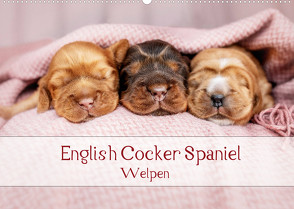 English Cocker Spaniel Welpen (Wandkalender 2022 DIN A2 quer) von Wobith Photography - FotosVonMaja,  Sabrina