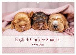 English Cocker Spaniel Welpen (Wandkalender 2024 DIN A2 quer), CALVENDO Monatskalender von Wobith Photography - FotosVonMaja,  Sabrina