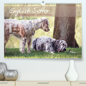 English Setter – Impressionen edler Hunde (Premium, hochwertiger DIN A2 Wandkalender 2020, Kunstdruck in Hochglanz) von VISOVIO