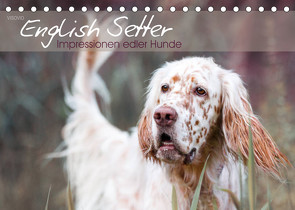 English Setter – Impressionen edler Hunde (Tischkalender 2023 DIN A5 quer) von VISOVIO