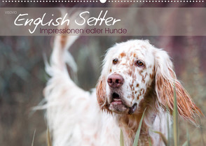English Setter – Impressionen edler Hunde (Wandkalender 2022 DIN A2 quer) von VISOVIO