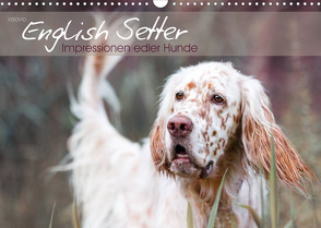 English Setter – Impressionen edler Hunde (Wandkalender 2023 DIN A3 quer) von VISOVIO