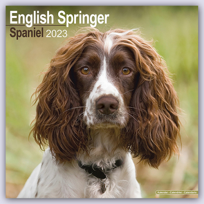 English Springer Spaniels 2023 – 16-Monatskalender