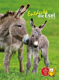 Entdecke die Esel von Schmidt,  Judith