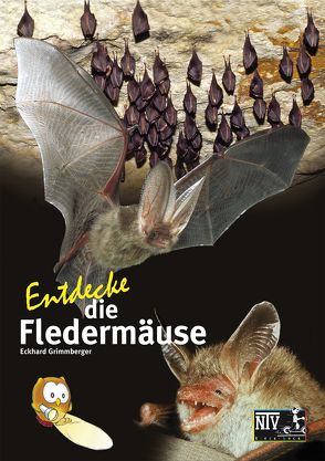 Entdecke die Fledermäuse von Grimmberger,  Dr. Eckhard