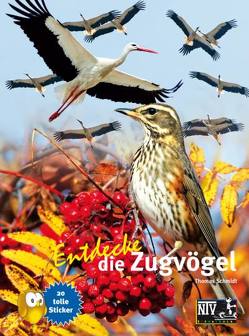 Entdecke die Zugvögel von Schmidt,  Thomas