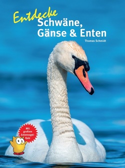 Entdecke Schwäne, Gänse & Enten von Schmidt,  Thomas