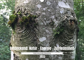 Entdeckend: Natur – Energie – Zufriedenheit (Wandkalender 2023 DIN A3 quer) von Knaus,  Jürg