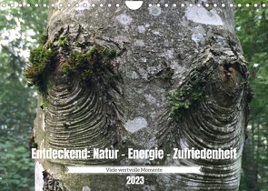 Entdeckend: Natur – Energie – Zufriedenheit (Wandkalender 2023 DIN A4 quer) von Knaus,  Jürg