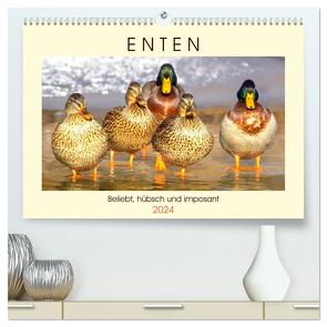 Enten. Beliebt, hübsch und imposant (hochwertiger Premium Wandkalender 2024 DIN A2 quer), Kunstdruck in Hochglanz von Hurley,  Rose