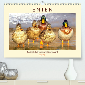 Enten. Beliebt, hübsch und imposant (Premium, hochwertiger DIN A2 Wandkalender 2021, Kunstdruck in Hochglanz) von Hurley,  Rose