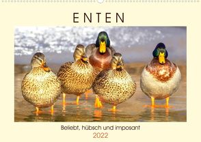 Enten. Beliebt, hübsch und imposant (Premium, hochwertiger DIN A2 Wandkalender 2022, Kunstdruck in Hochglanz) von Hurley,  Rose