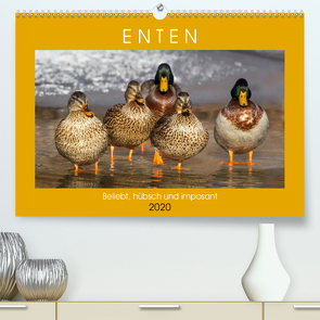 Enten. Beliebt, hübsch und imposant (Premium, hochwertiger DIN A2 Wandkalender 2020, Kunstdruck in Hochglanz) von Hurley,  Rose