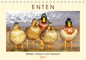 Enten. Beliebt, hübsch und imposant (Tischkalender 2021 DIN A5 quer) von Hurley,  Rose